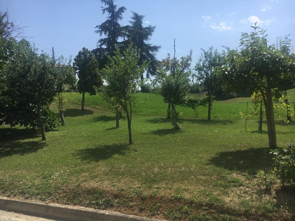 B & B Pratopiano Toano Exteriér fotografie